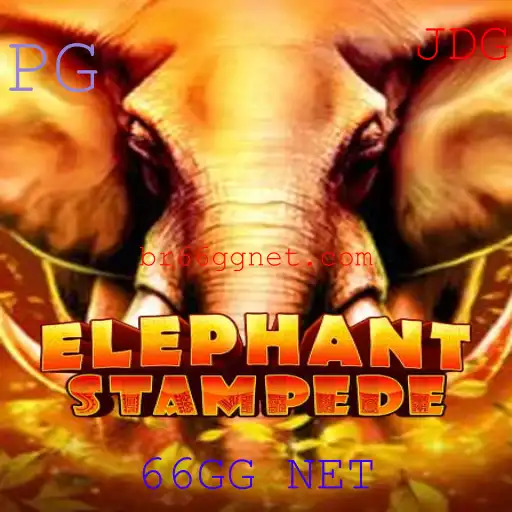 ElephantStampede: Explorando o Emocionante Mundo do Novo Jogo com 66GG NET